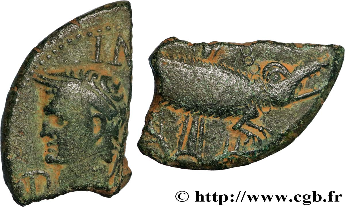 NEMAUSUS - NÎMES - AUGUSTE et AGRIPPA Dupondius COL NEM (as) - coupé TTB
