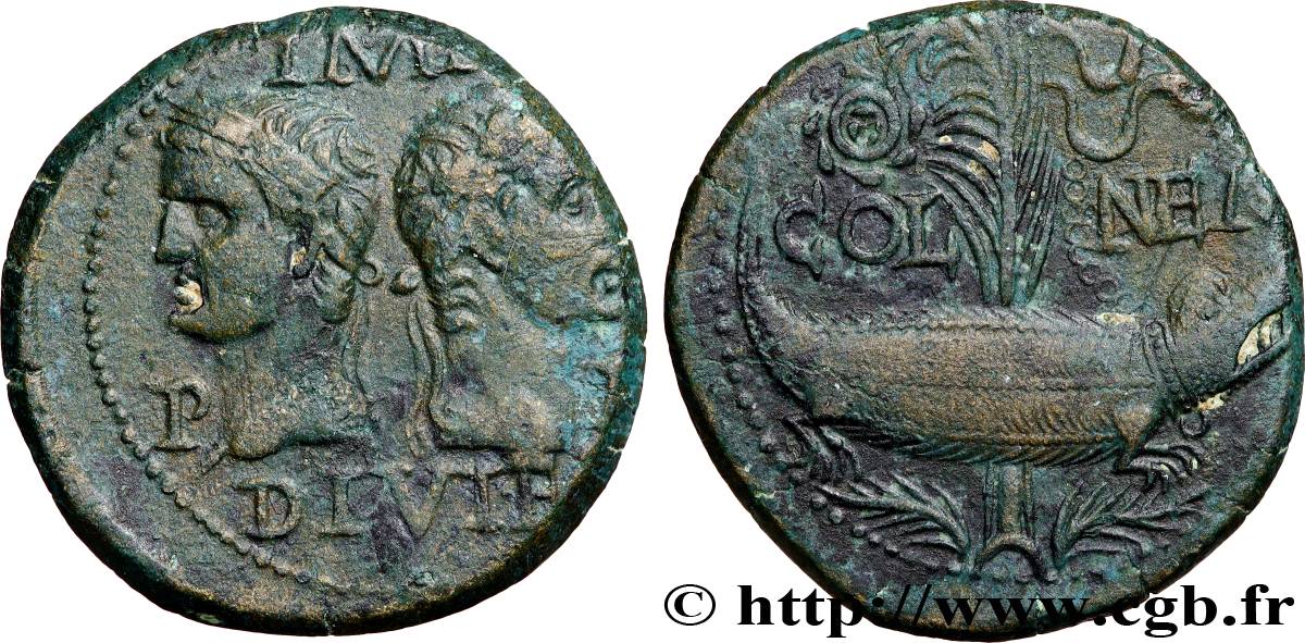 NEMAUSUS - NIMES - AUGUSTUS and AGRIPPA Dupondius COL NEM (as) XF